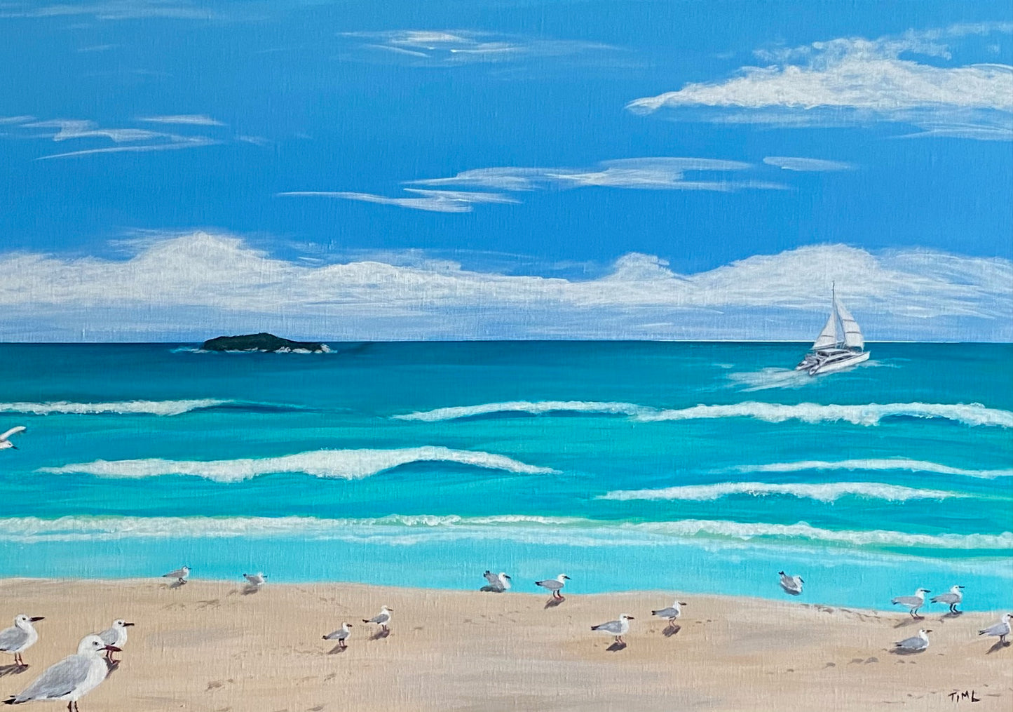 Seagulls on Homebeach (Nth Stradbroke Island)