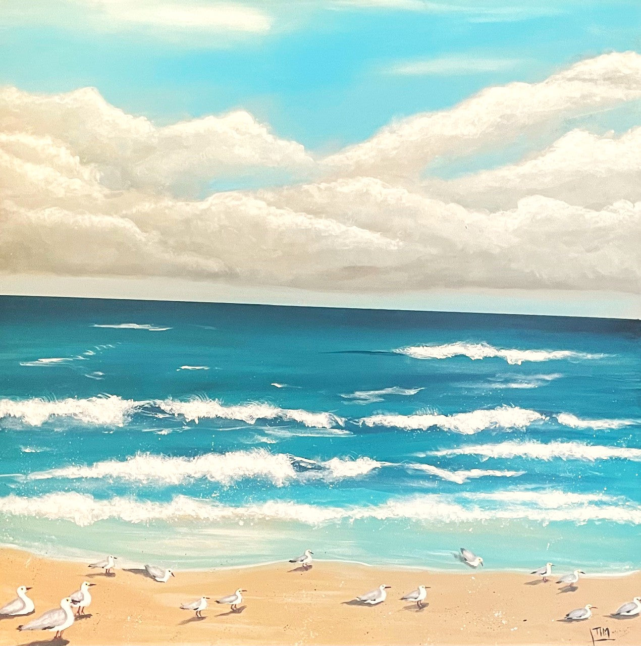 Seagulls on Deadmans Beach - Nth Stradbroke