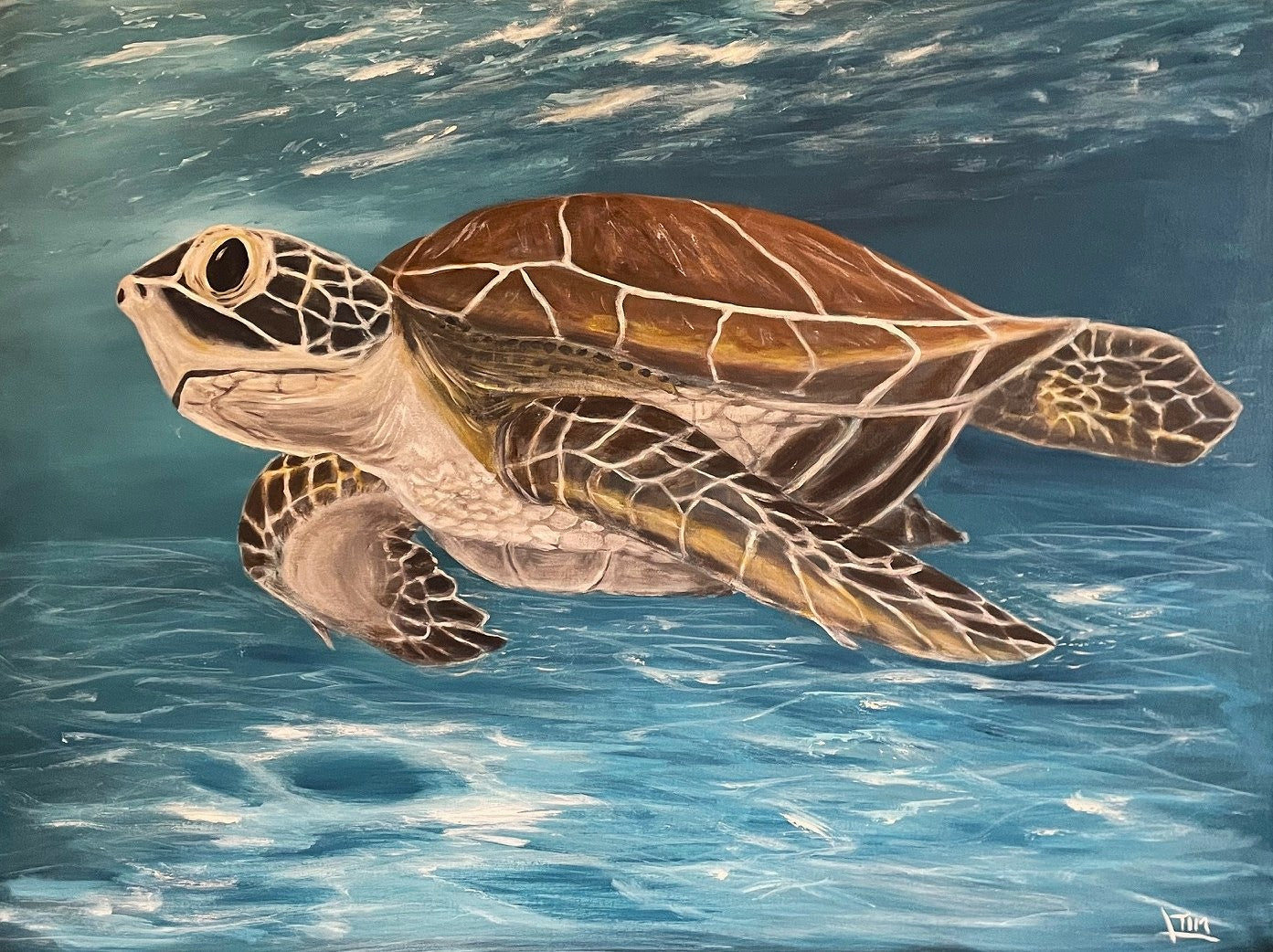 Cruising the Shallows (Sea Turtle)