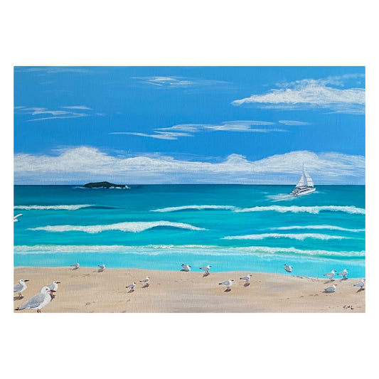 Seagulls on Homebeach (Nth Stradbroke Island)